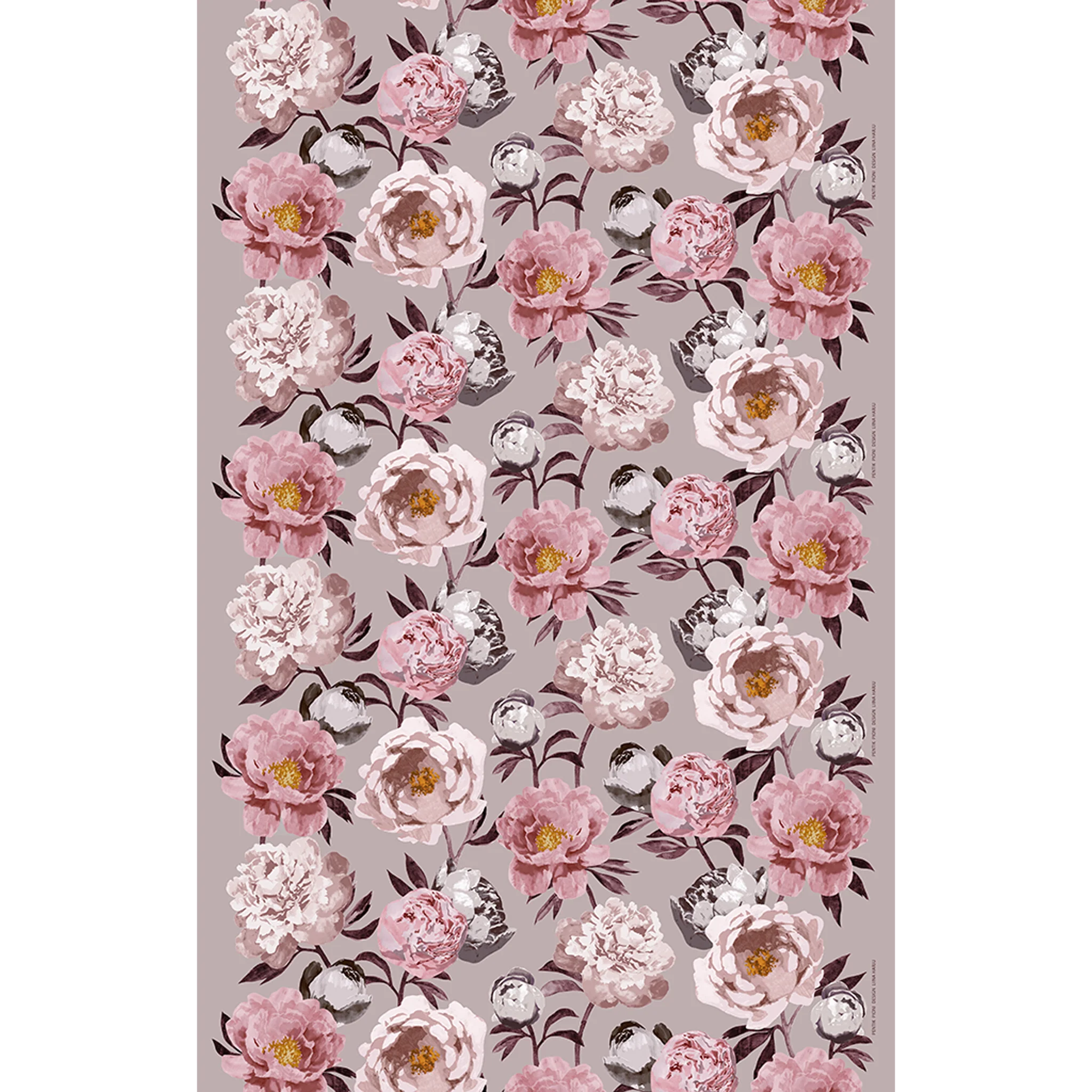 Pikkukuva 2